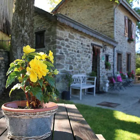In With Terrace, Cleaning Included Holiday home